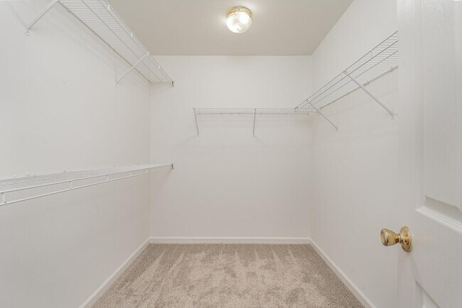 Building Photo - 3802 Brookchase Ln
