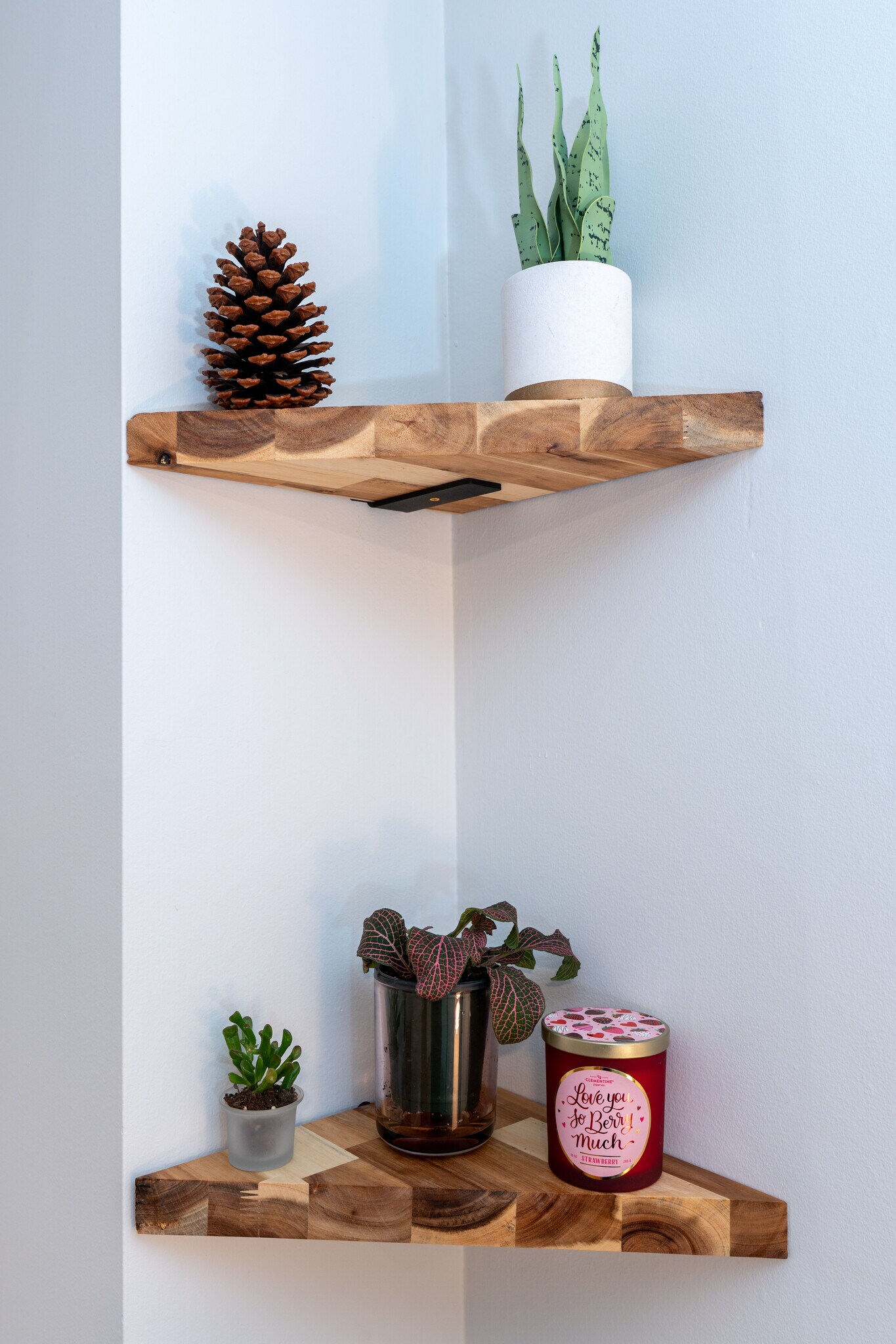 Building Photo - 1101 Kitt Pl