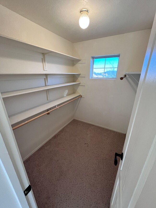 Building Photo - North East- 5 bedroom/ 2.5 bathroom single family home