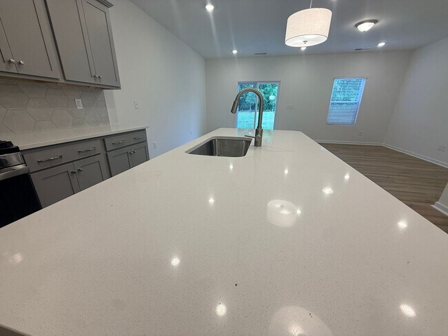 Building Photo - Brand New Townhome in Highland Creek Area!