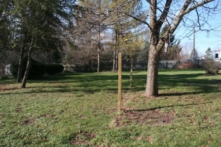 Building Photo - Private Yard