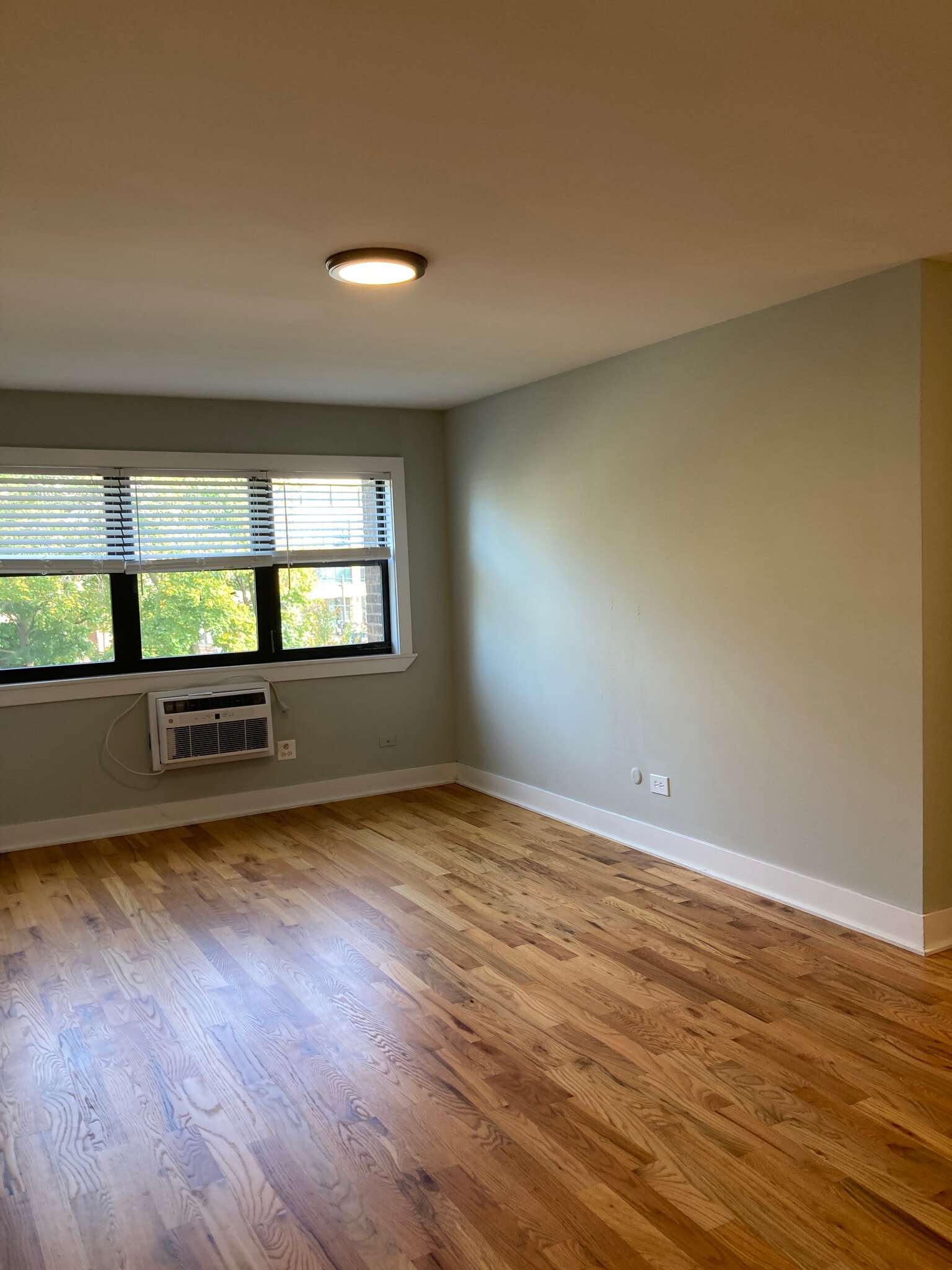 Building Photo - 696 Elm Pl