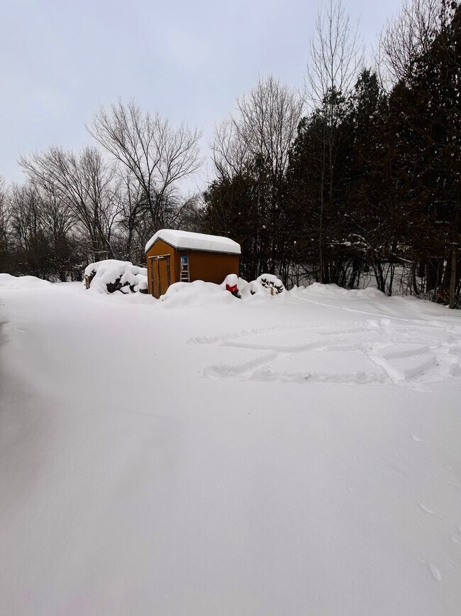 Building Photo - Charming Log Cabin Rental – 3 Bedroom / 2 Bath | Carthage School District