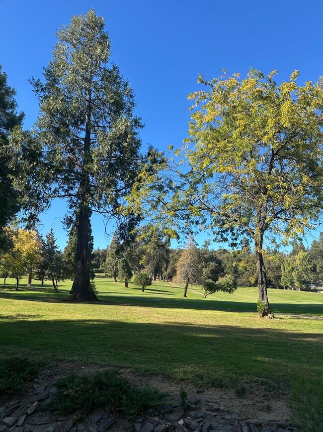 Building Photo - 19566 Chaffee Cir