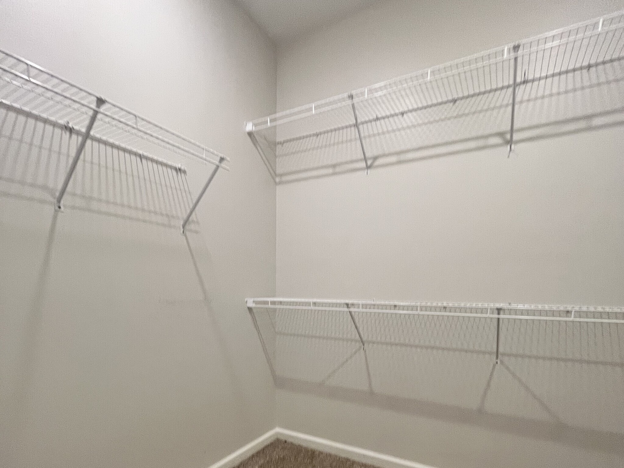 Building Photo - 216 Morningside Dr