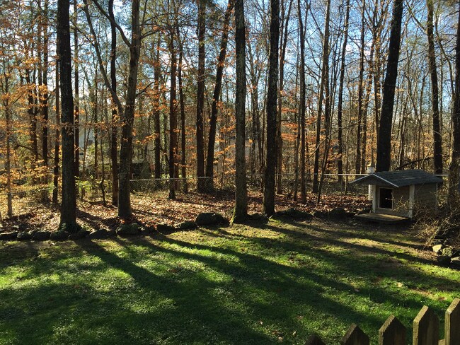 Building Photo - 123 Bonaparte Dr