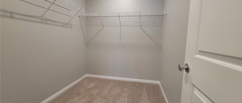 Building Photo - 3638 Modico Ln