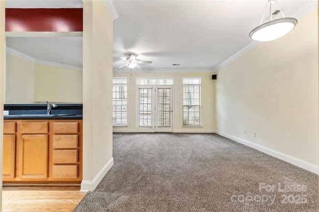 Building Photo - 3834 Thomas Ridge Dr