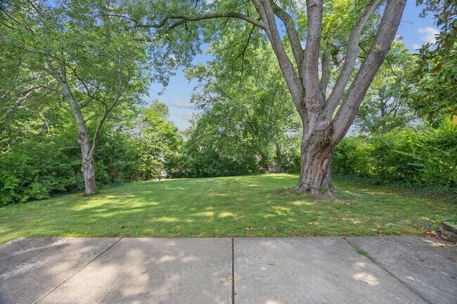 Building Photo - 5334 Alvera Dr