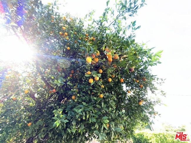 Building Photo - 23744 Hartland St