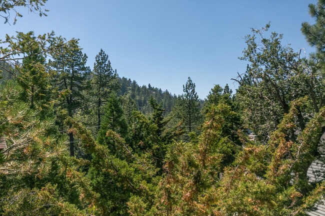 Building Photo - 32780 Deer Lick Dr