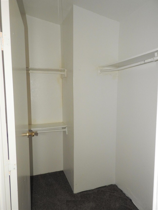 Building Photo - 551 Cynthia St