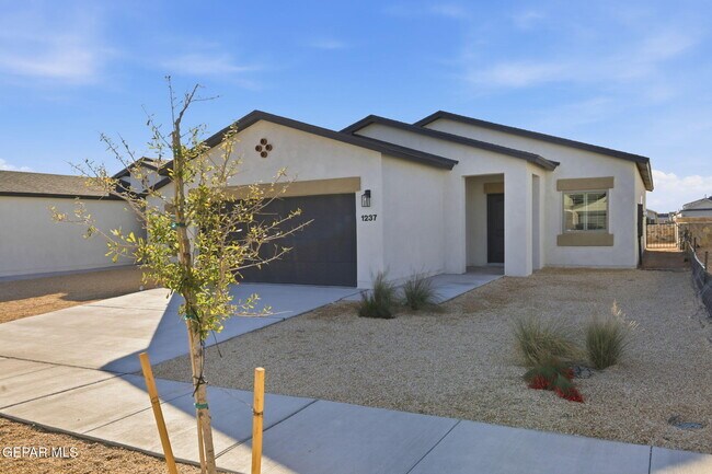 Building Photo - 1237 Irish Summer Pl