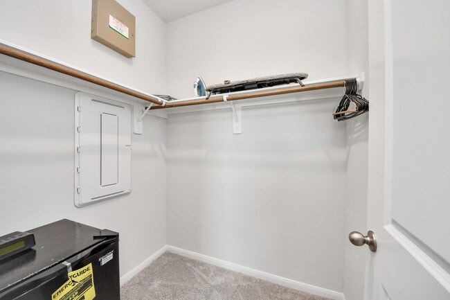 Building Photo - 10618 Amador Peak Dr