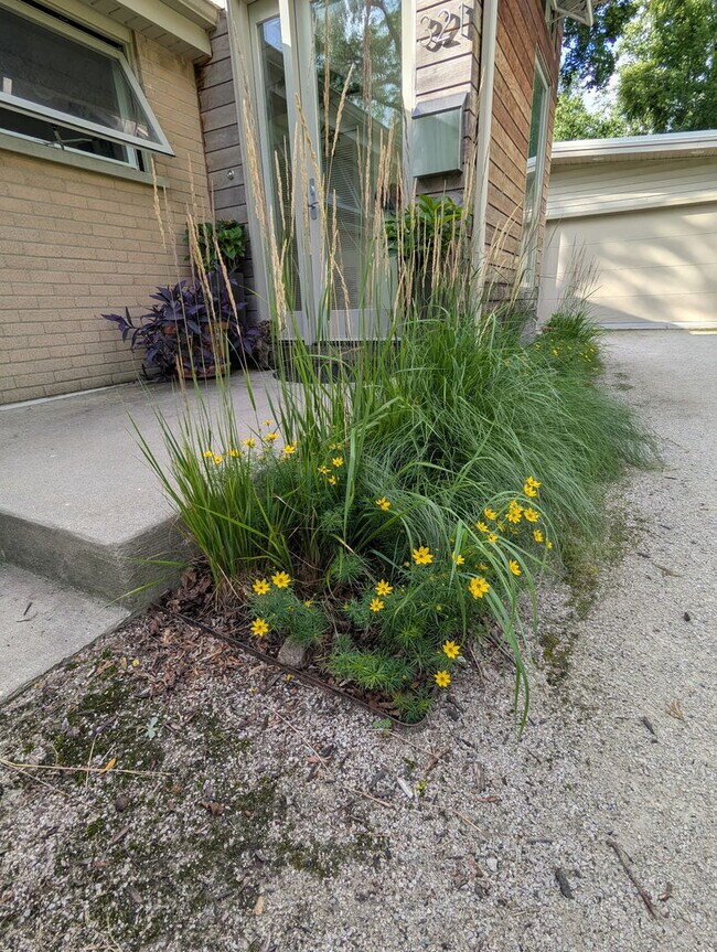 Building Photo - 321 Ferndale Rd