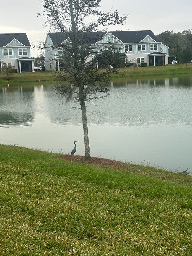 Building Photo - St. Johns, Beach Walk Community, Townhouse