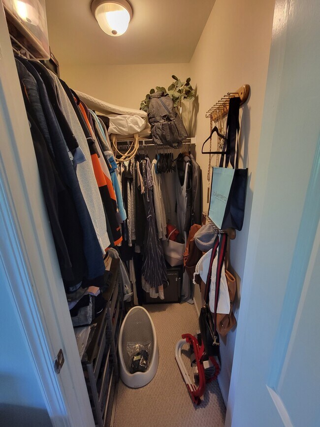 Master BR closet - 555 Coventry Lane