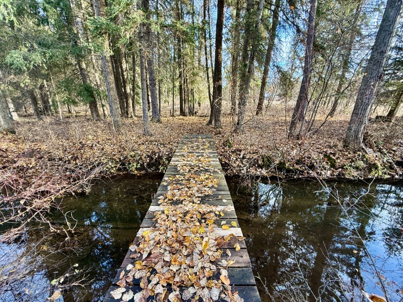 Building Photo - 1611 N Fork Rd