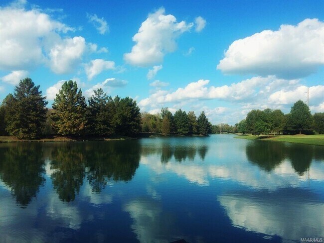 Building Photo - 3900 Turning Leaf Loop