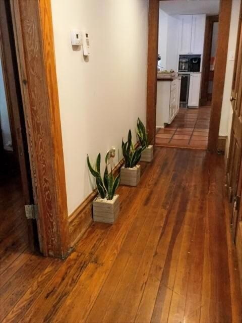 Building Photo - 203 W Waldburg St
