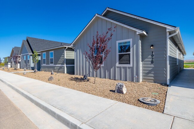 Building Photo - Immaculate New Construction! 2BR/ 2BA