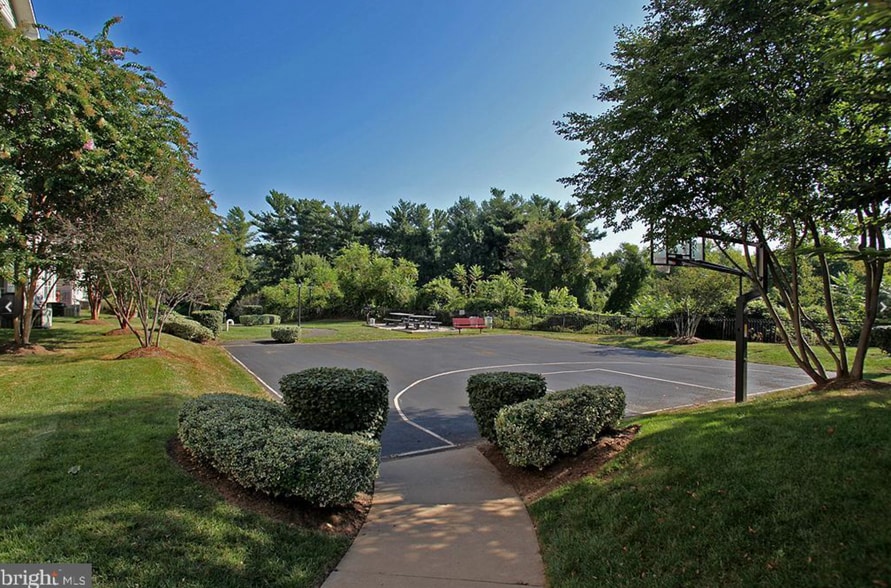 Basketball and picnic area - 1581 Spring Gate Dr