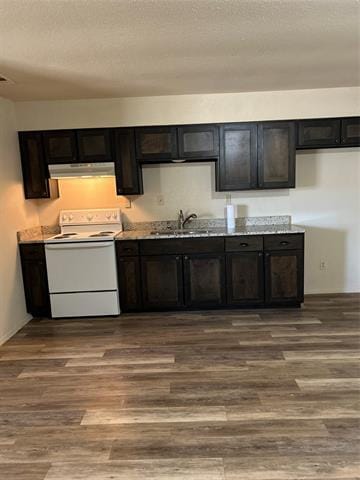 Building Photo - 1568 Reef Dr