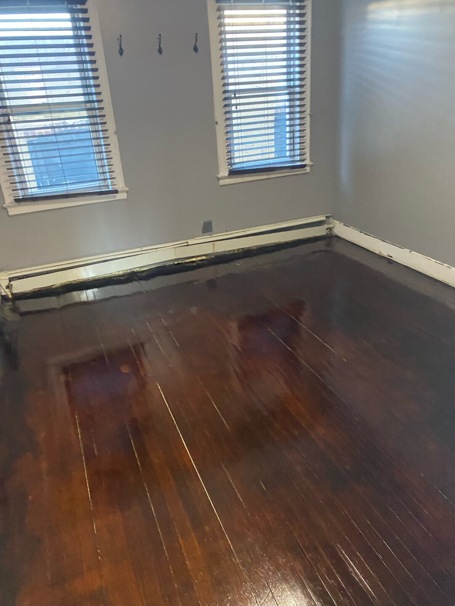 Building Photo - 421 Halsted St