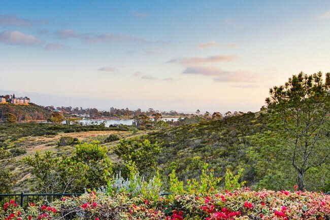 Building Photo - Gorgeous Custom Built Scripps Ranch Home Available Now!