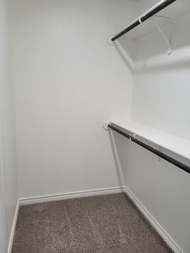 Building Photo - 2329 Zanoletti Ct