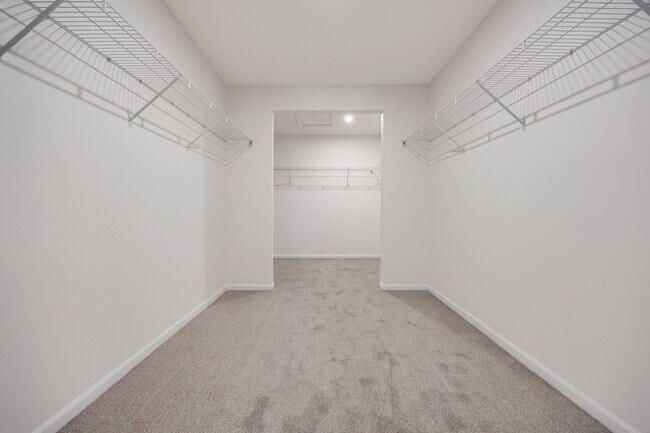 Building Photo - 537 Watercress Dr