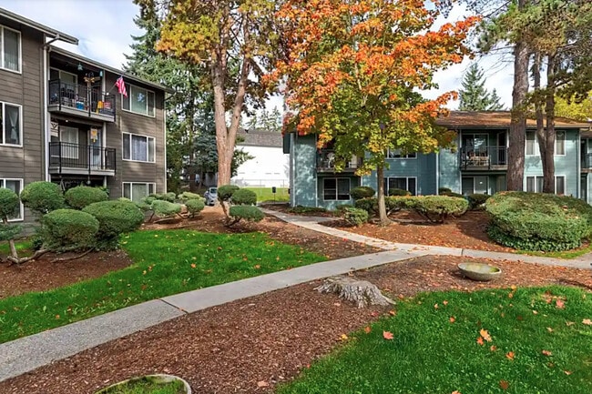 Outdoor Space - Beaver Cove