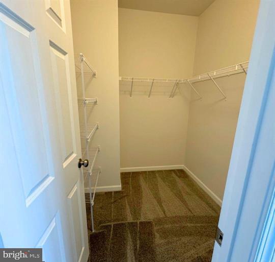 Building Photo - 146 Galaxy Pl