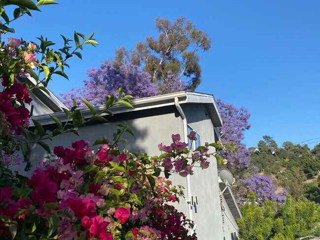 Building Photo - 2449 Corralitas Dr