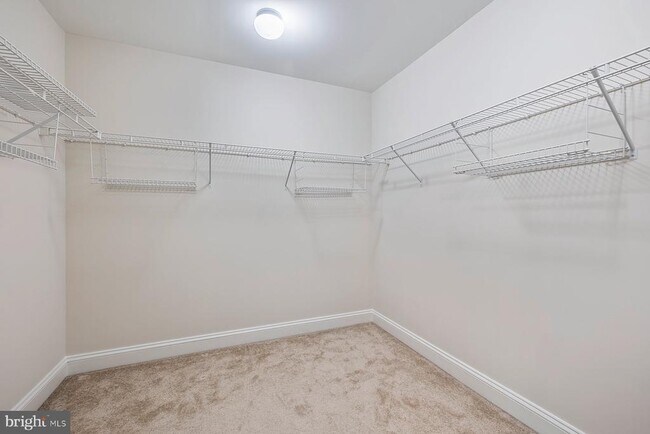 Building Photo - 805 Thicket Ct