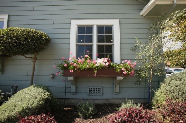 Building Photo - Laurel Street Triplex