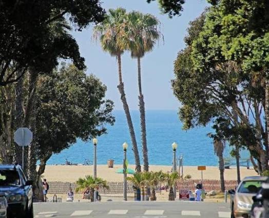 View from street - 159 Hollister Ave