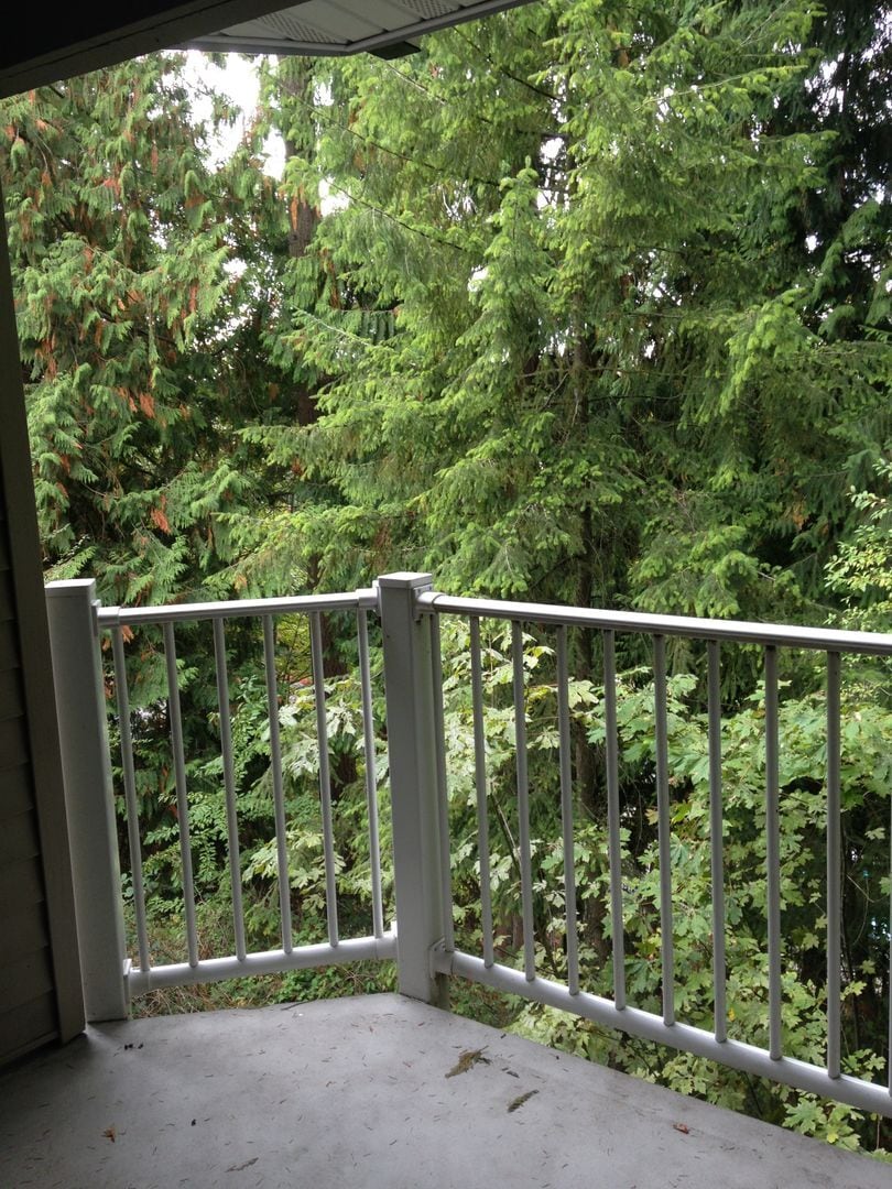 Building Photo - Spacious Mill Creek Corner unit Condo In-Town