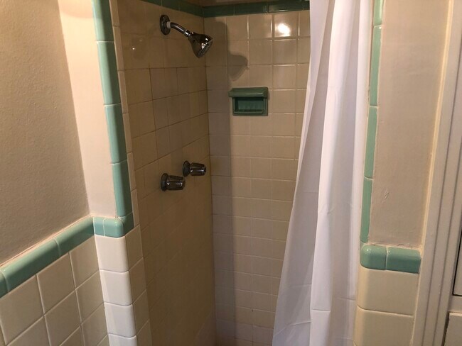 Master Shower - 7010 Milne Blvd