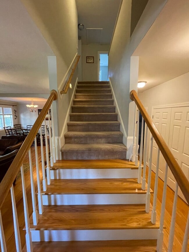 Building Photo - 4 Bedroom 3.5 Bath Home in Carolina Lakes!