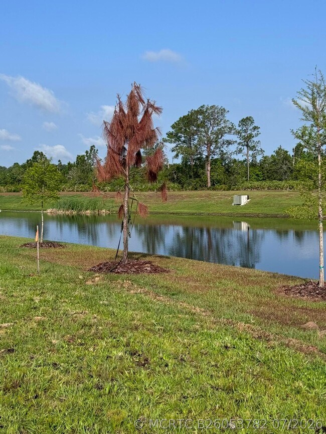 Building Photo - 3015 Sanctuary Dr