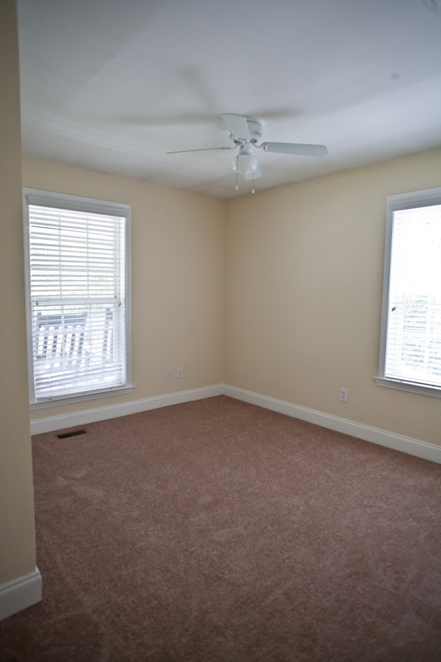 Building Photo - Apt in Sun-Drenched Home in Heart of Carrboro – All Utilities Included & Pet Friendly