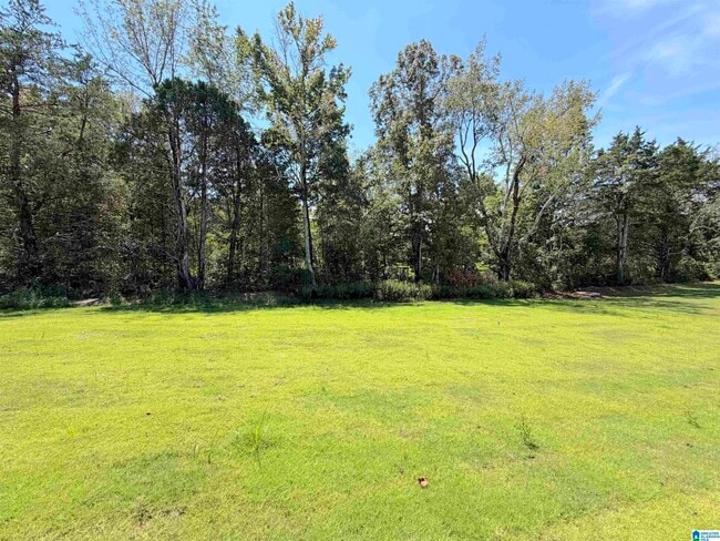 Building Photo - 302 Spanish Moss Ct