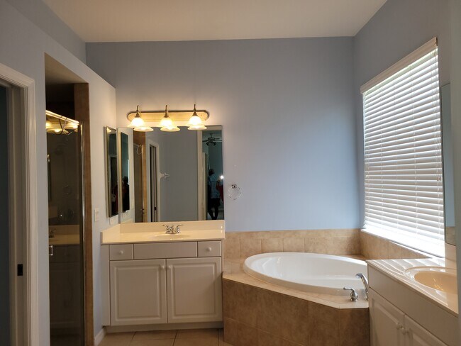 main bath - 9358 Palm Island Cir