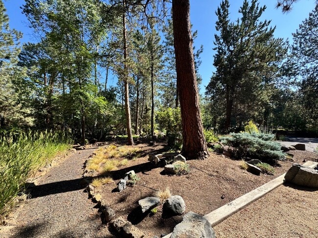 Building Photo - FOR RENT: FURNISHED LONG-TERM EXTREMELY CO...