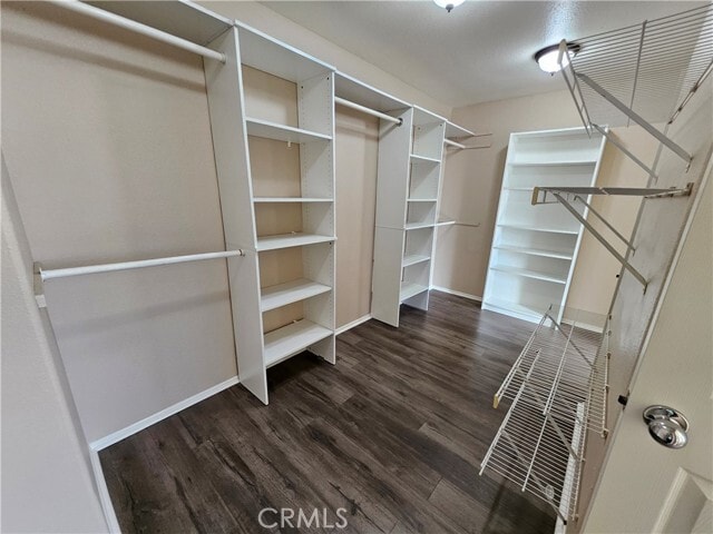 Building Photo - 4120 Forest Highlands Cir