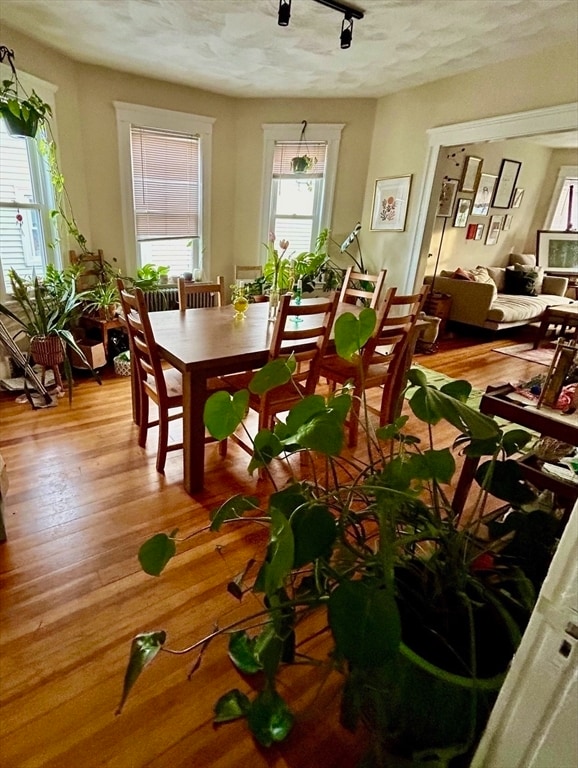 Building Photo - 11 Heath St