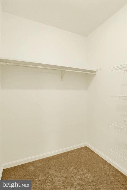 Building Photo - 903 Cambridge Ct