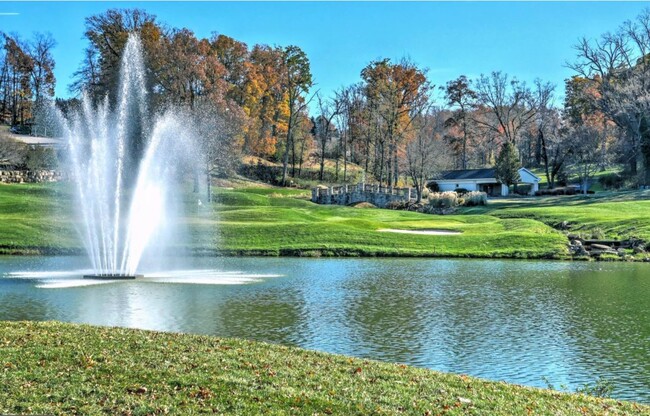 Water fountain - 975 Brechin Ln