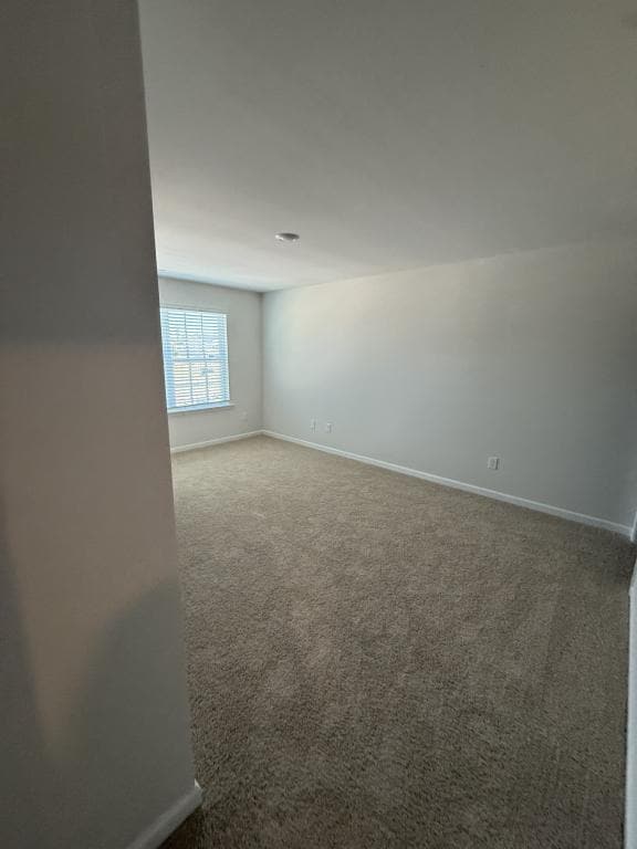 Building Photo - 1206 Broholmer Ln